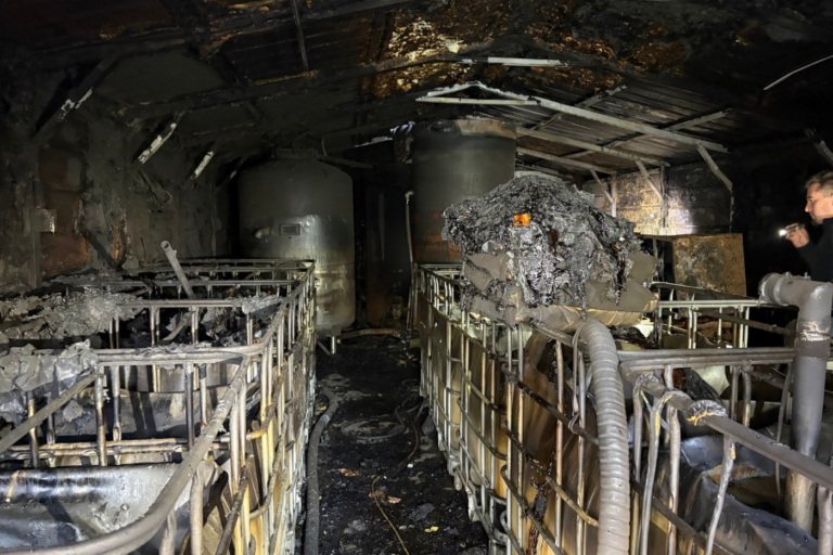 200 gallon illegal distillery seized after explosion and fire in Wilkes County