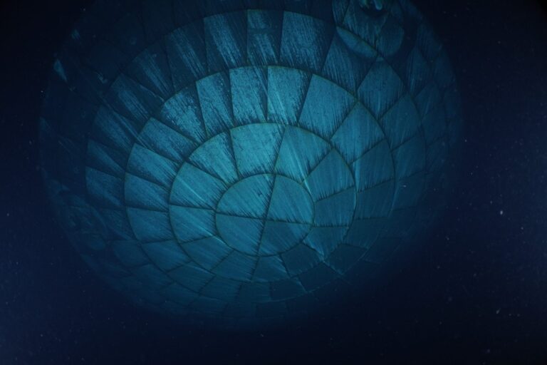 Artemis II heat shield recovered after splashdown