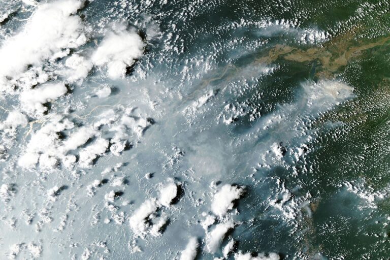 Fires spread in the Amazon rainforest