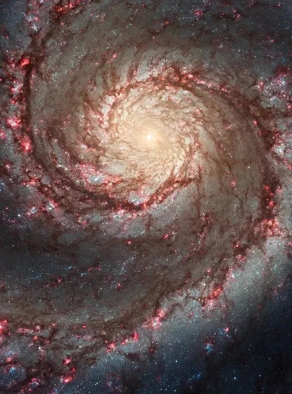 Hubble telescope captures stunning view of spiral galaxy's edge