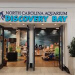 Mermaids and marine life to celebrate NC Aquariums' 50th birthday at Discovery Bay
