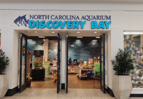 Mermaids and marine life to celebrate NC Aquariums' 50th birthday at Discovery Bay