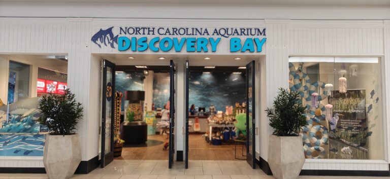 Mermaids and marine life to celebrate NC Aquariums' 50th birthday at Discovery Bay