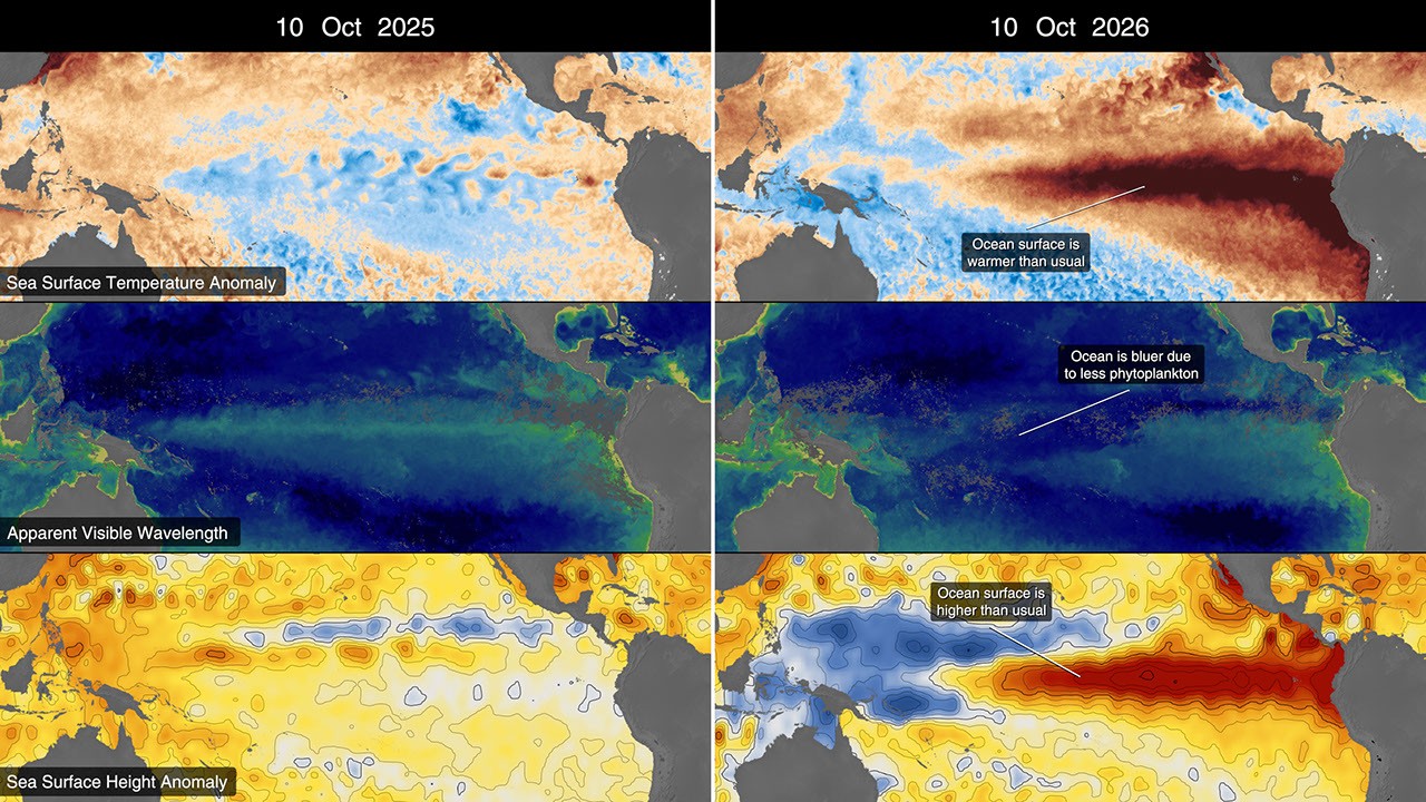 NASA satellites monitor significant El Niño event