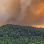 NC State partners in $1.7M initiative to combat rising wildfire threat in Eastern US