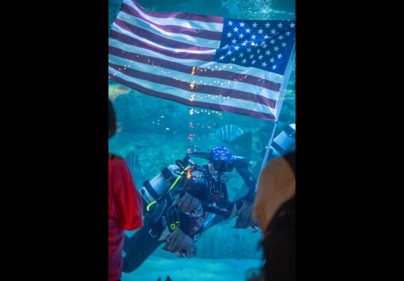 North Carolina aquariums offer free admission to military families