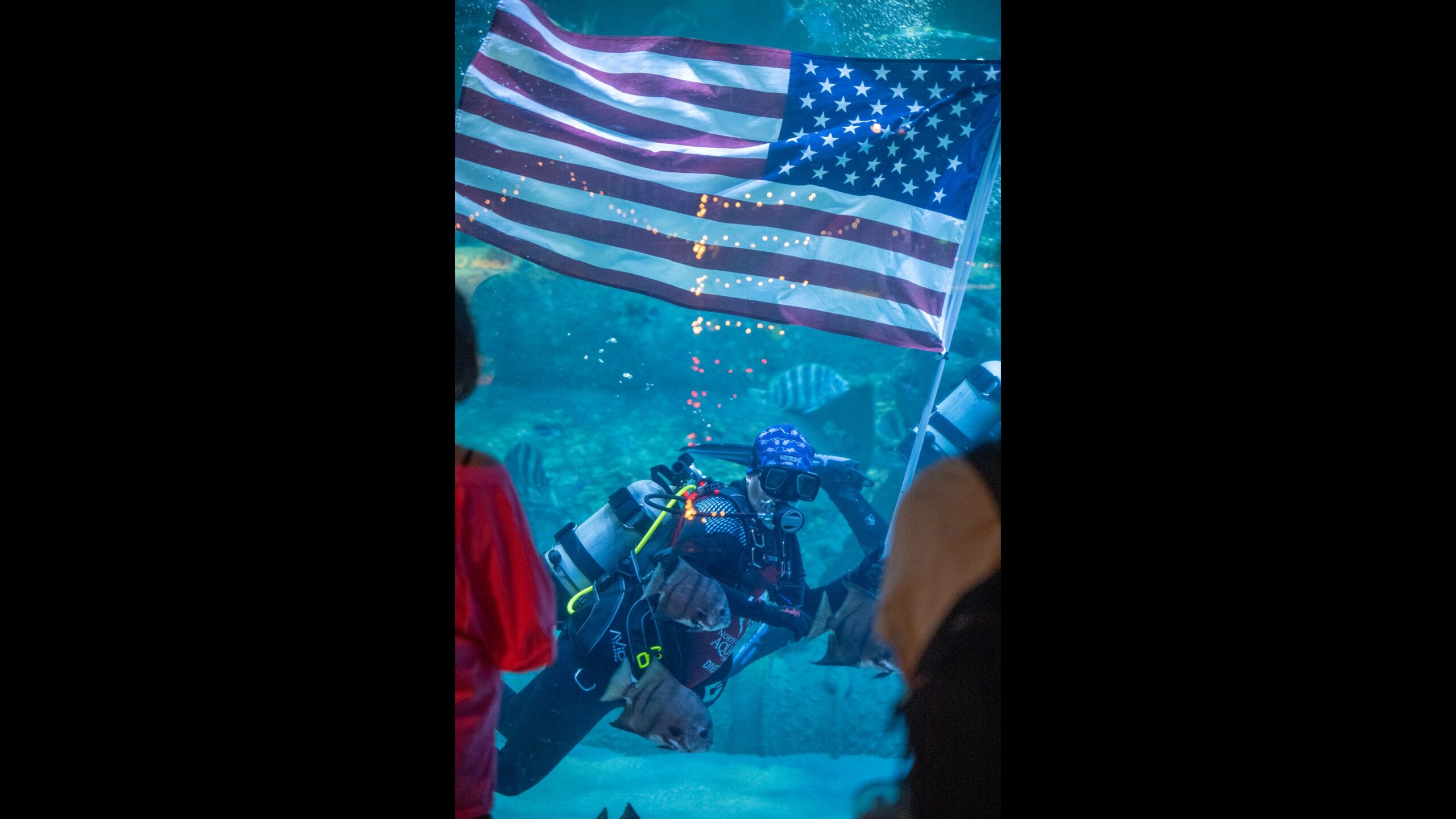 North Carolina aquariums offer free admission to military families