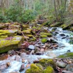 North Carolina Land and Water Fund awards over $28 million for conservation projects