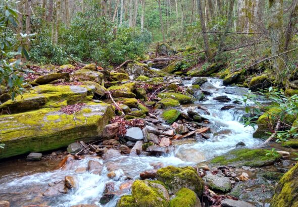 North Carolina Land and Water Fund awards over $28 million for conservation projects