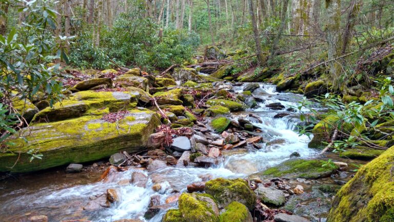 North Carolina Land and Water Fund awards over $28 million for conservation projects
