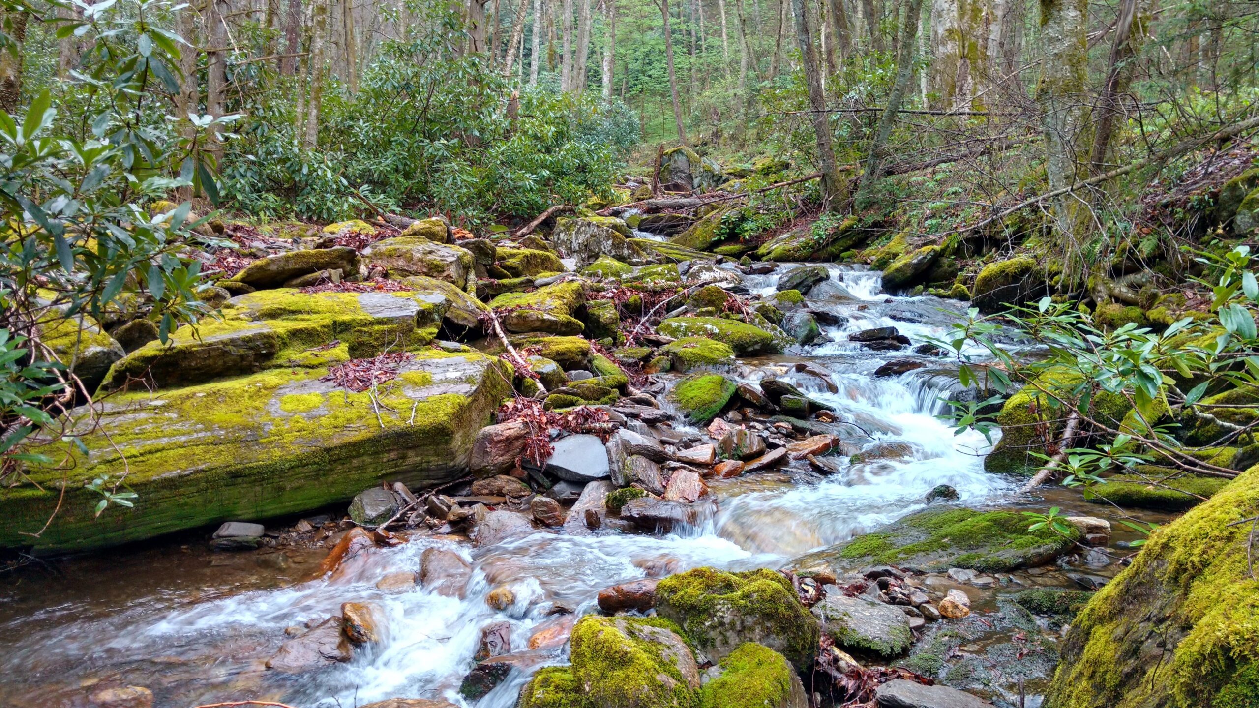 North Carolina Land and Water Fund awards over $28 million for conservation projects