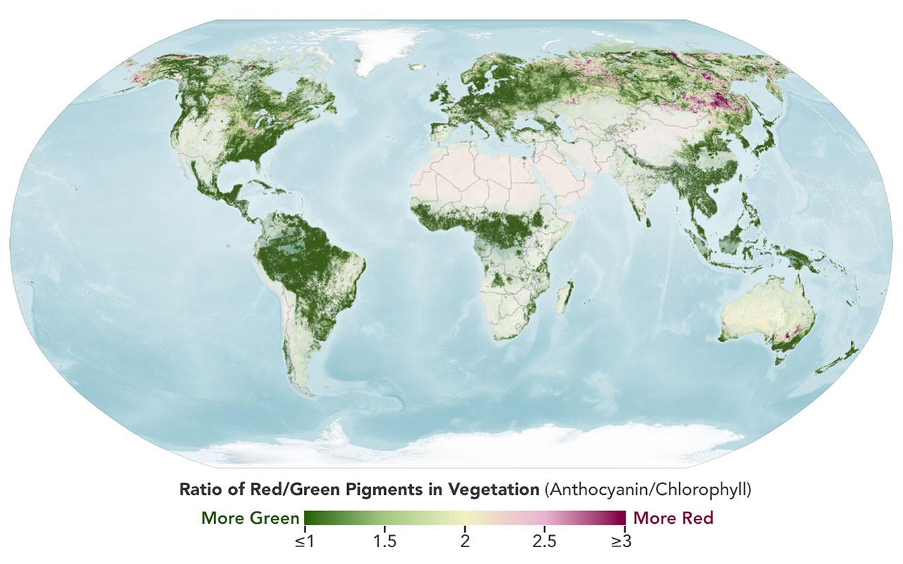 Satellites used to track fall foliage changes