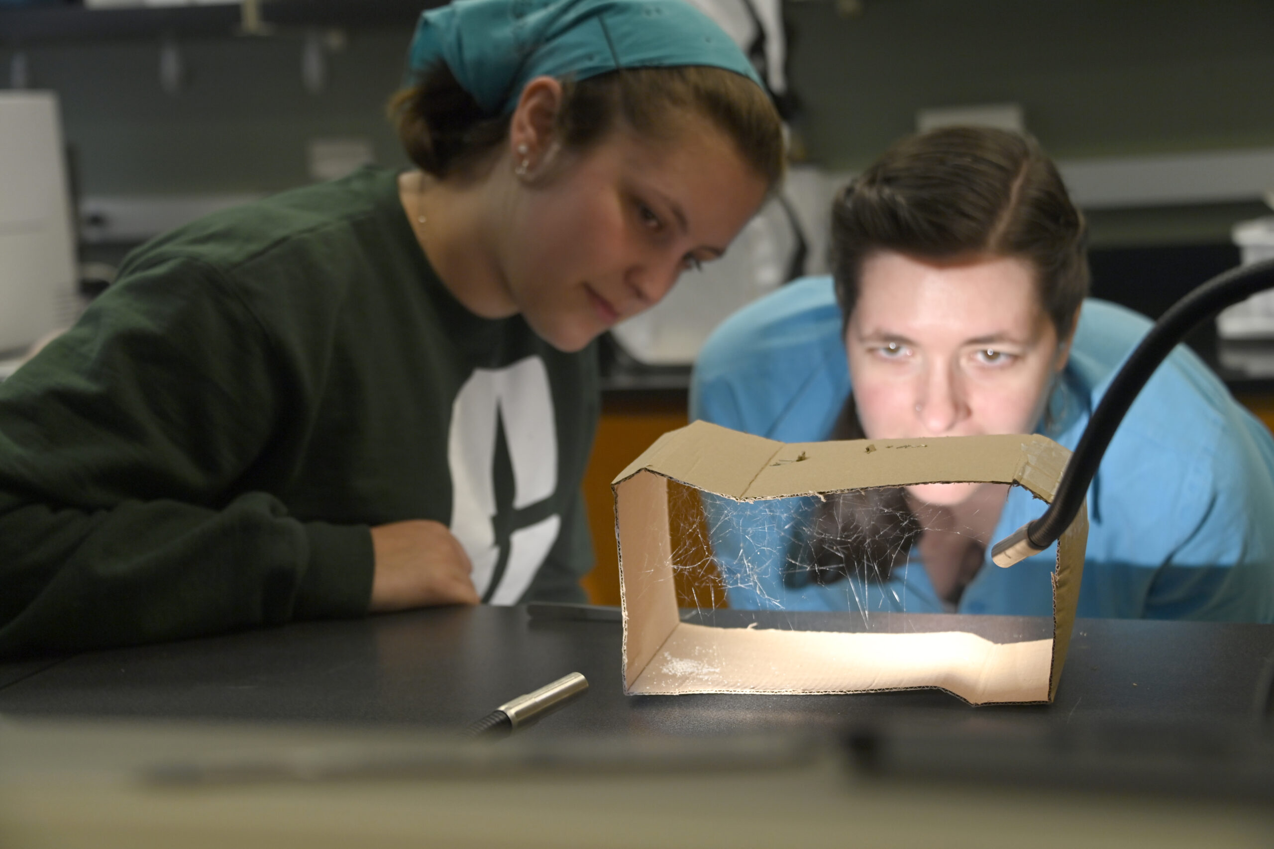 UNC Charlotte research highlights the potential of spider silk
