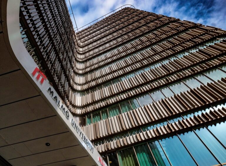 UNC Charlotte team promotes AI literacy in STEM education at Malmö University