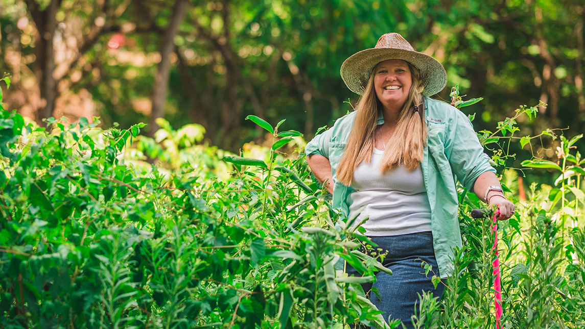 UNCG scientist studies healthy grazing land management