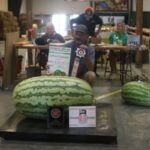 Winners announced in giant pumpkin and watermelon contests