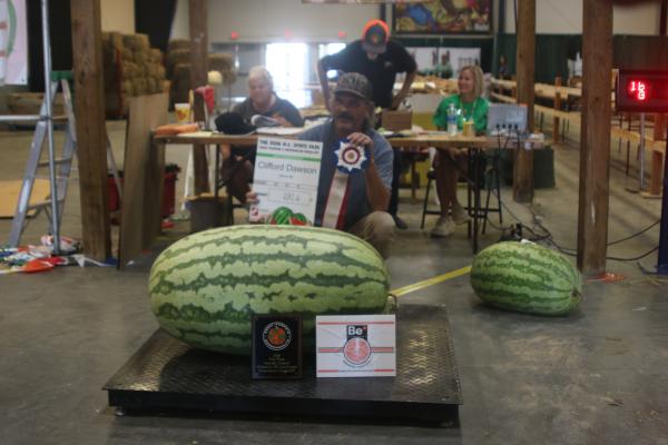 Winners announced in giant pumpkin and watermelon contests